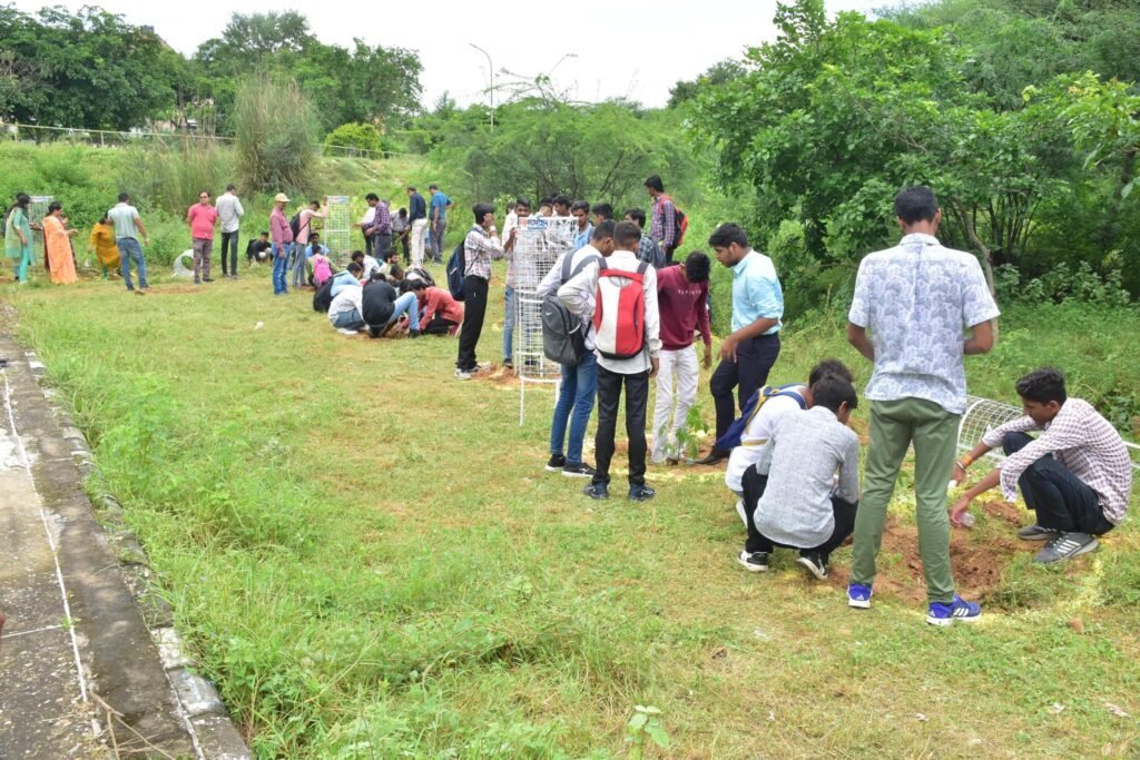 Afforestation & Ground Preparation