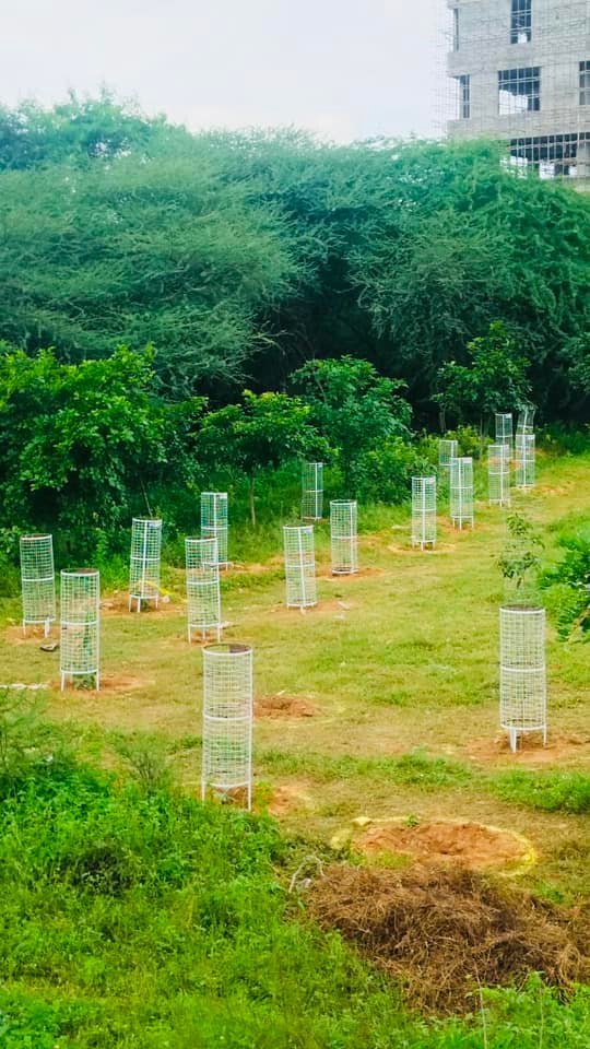 Water Testing in Rural Rajasthan
