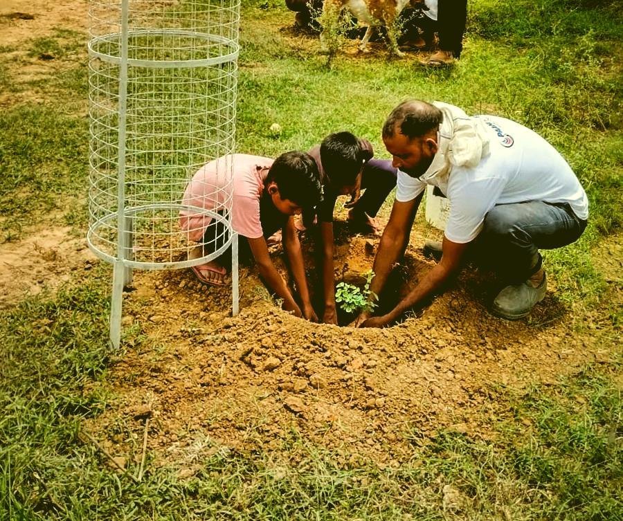 Youth Environmental Camp